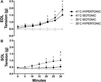 Osmolality Selectively Offsets the Impact of Hyperthermia on Mouse Skeletal Muscle in vitro